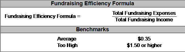 Fundraising efficiency example for nonprofit financial ratios