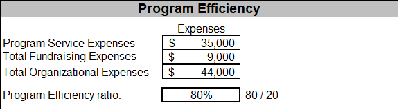 Program efficiency chart example for nonprofit financial ratios 