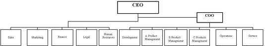 example of a flat organization chart for a business