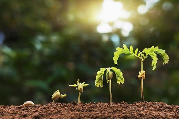 Get a free consultation Business growth consulting in Milwaukee