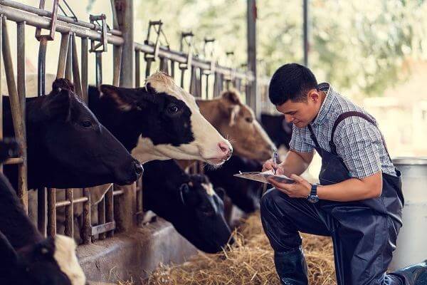 Get a free bookkeeping consultation today Milwaukee bookkeeping services for farmers