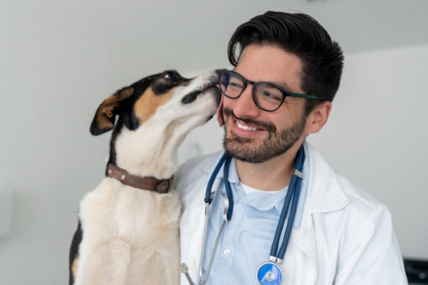 Accounting for veterinarians Milwaukee, Wisconsin