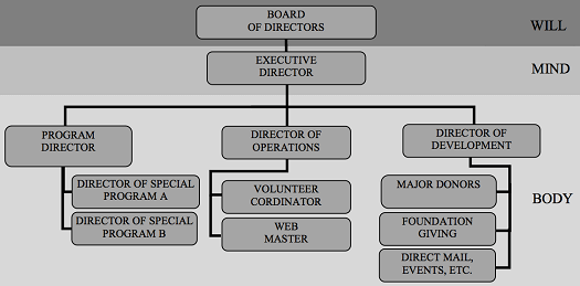 Organizational structure of an organization 