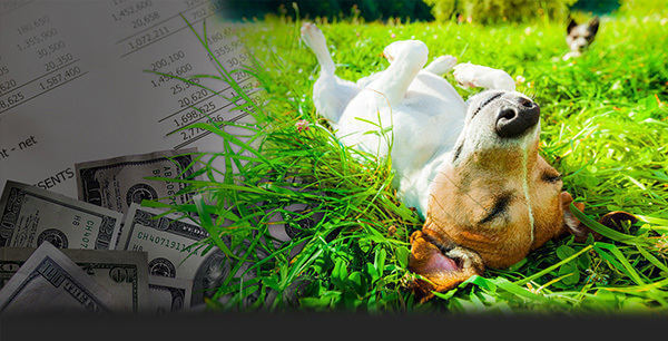The Giersch Group Bookkeeping & Consulting Services